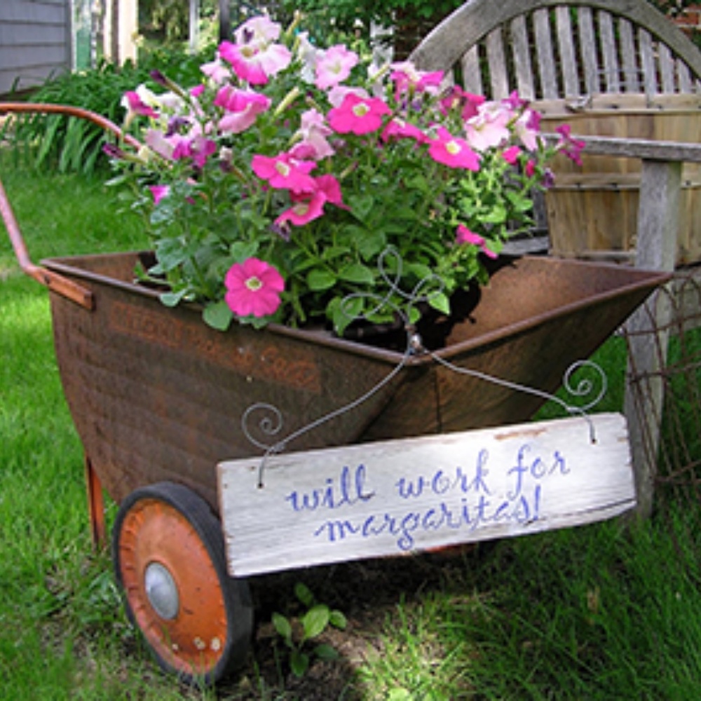 Meet your Posher, Carole